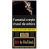 Tigari De Foi Rio Filter By RioTABak 10