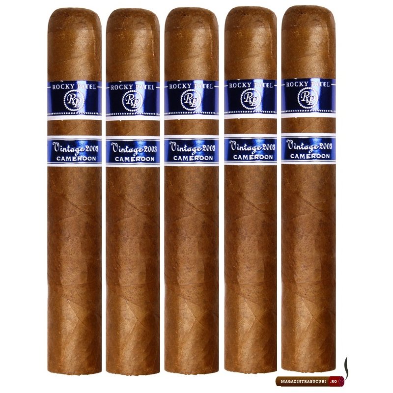 Trabucuri Rocky Patel Vintage 2003 Sixty 5