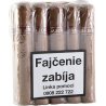 Trabucuri Sabor HVA Rosado Gran Robusto (10)