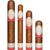 Trabucuri Flor De Selva Sampler Collection Aniversario No 20 (4)