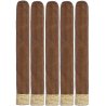 Trabucuri Rocky Patel Edge Corojo Toro (5)