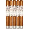 Trabucuri Rocky Patel White Label Toro (5)
