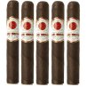 Trabucuri Rocky Patel Sun Grown Maduro Sixty (5)