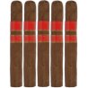 Trabucuri Rocky Patel Sun Grown Robusto (5)