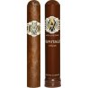 Trabuc Avo Heritage Robusto Tub (1)