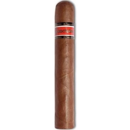 Trabucuri Licenciados Robusto Bundle (10)