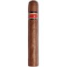 Trabucuri Licenciados Robusto Bundle (10)