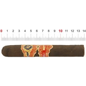 Trabuc Rocky Patel Sixty Robusto (1)