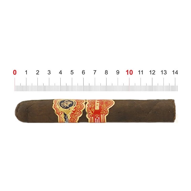 Trabuc Rocky Patel Sixty Robusto (1)