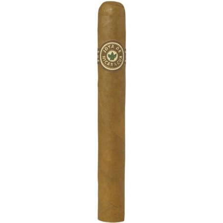 Trabuc Joya de Nicaragua Clasico Toro (1)