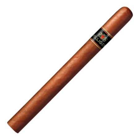 Trabucuri Villiger Black Tube Sumatra (15)