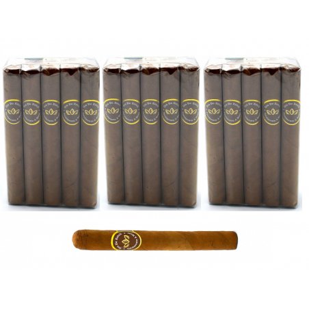 Trabucuri Oro De Esteli Corona 30 Experienta de Lux Nicaraguana