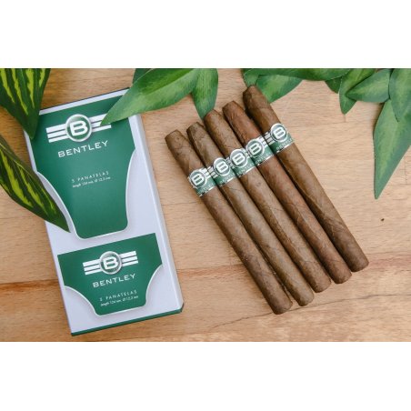 Trabucuri Bentley Panatelas 50 Calitate Premium și Rafinament în Fiecare Pachet