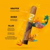 Trabucuri Zino Nicaragua Robusto Fresh 20 si Umidor Cadou