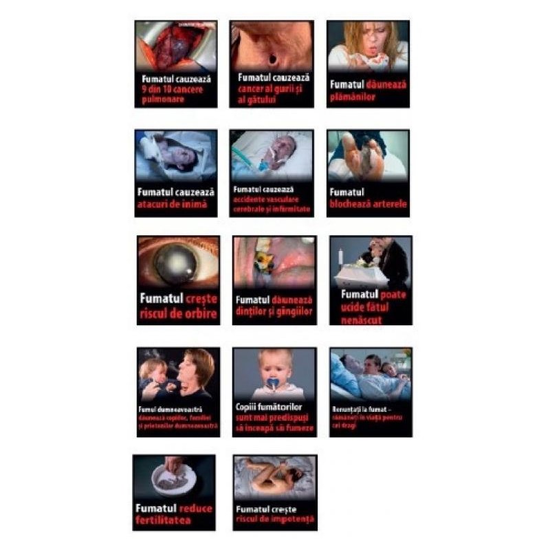 Trabucuri Volstead Intemperance Izzy Einstein Petit Corona (30)