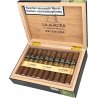 Trabucuri La Aurora Escogidos Robusto (20)