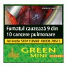 Tigari de foi Villiger Green Mini Filter (100) Reduceri
