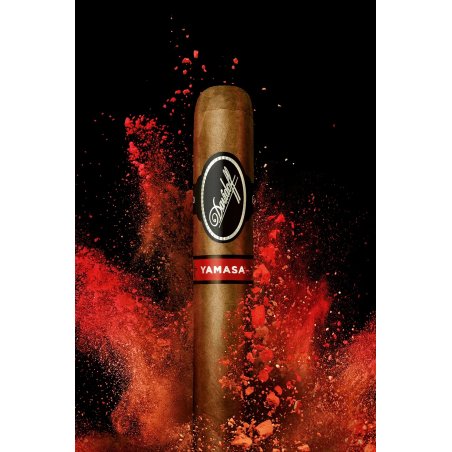 Trabucuri la reducere Davidoff Yamasa Toro 20 ieftin