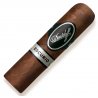 Trabucuri dominicane Davidoff Escurio Petit Robusto 20