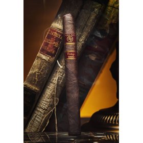 Trabuc la bucata Rocky Patel Vintage 1990 Sixty 1