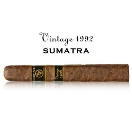 Trabuc premium Rocky Patel Vintage 1990 Petit Corona 1
