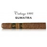 Trabuc premium Rocky Patel Vintage 1990 Petit Corona 1