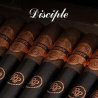 Trabucuri Rocky Patel Disciple Bala 5 cel mai bun pret