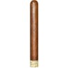Trabuc Rocky Patel Edge Corojo Toro (1)