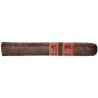 Trabuc Rocky Patel Vintage 1990 Robusto (1)