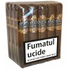 Trabucuri Inca Secret Blend Tambo Toro (20)