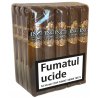 Trabucuri Inca Secret Blend Roca Robusto (20)