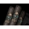 Trabucuri Inca Secret Blend Roca Robusto (20) la cel mai bun pret
