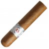Trabucuri Vega Fina Short Robusto 10