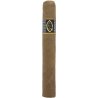 Trabucuri Quesada Reserva Privada Toro Gordo 10