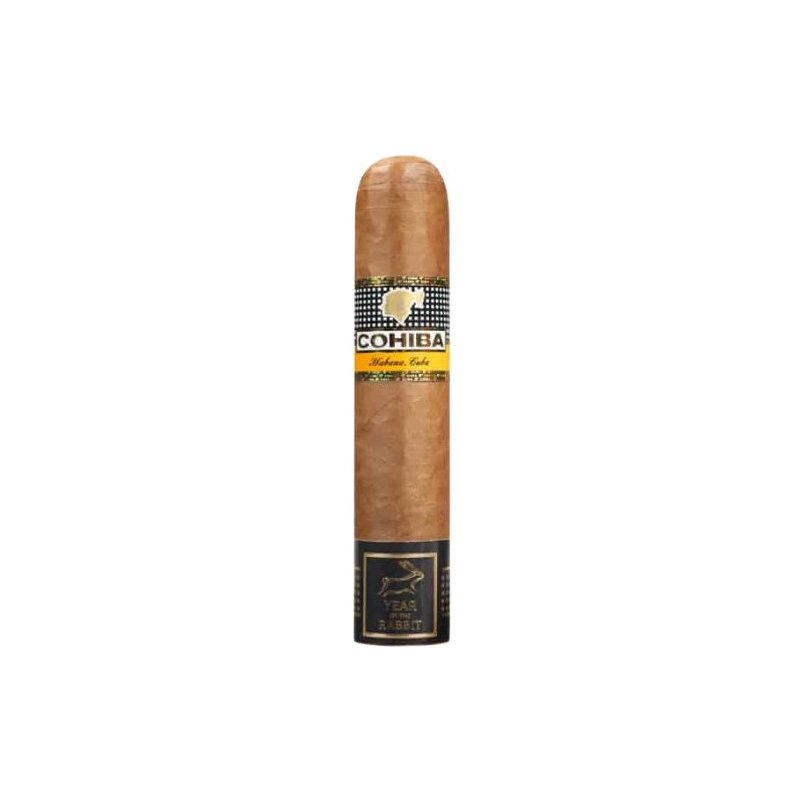 Trabucuri Cohiba Siglo De Oro (18)