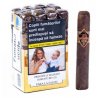 Trabucuri La Aurora Principe LF Maduro Robusto BD (36)