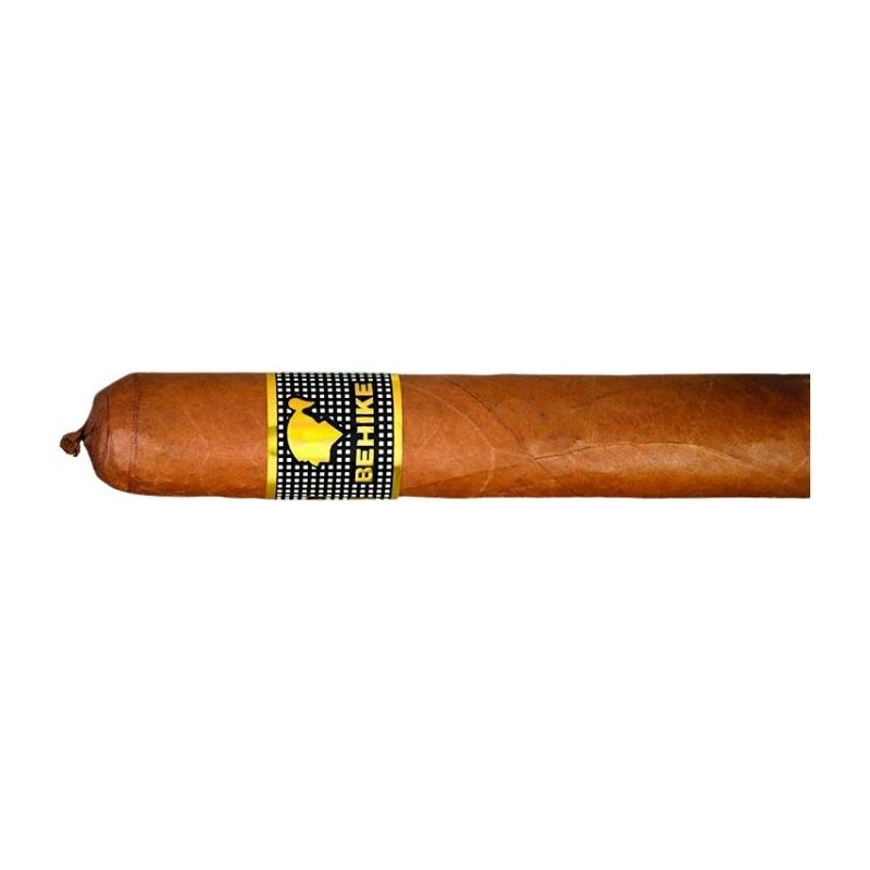 Trabucuri Cohiba Behike 52 (10)