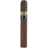 Trabucuri Cohiba Genios (25)