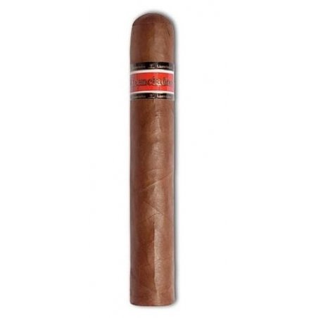 Trabucuri Licenciados Robusto Grande Bundle 30
