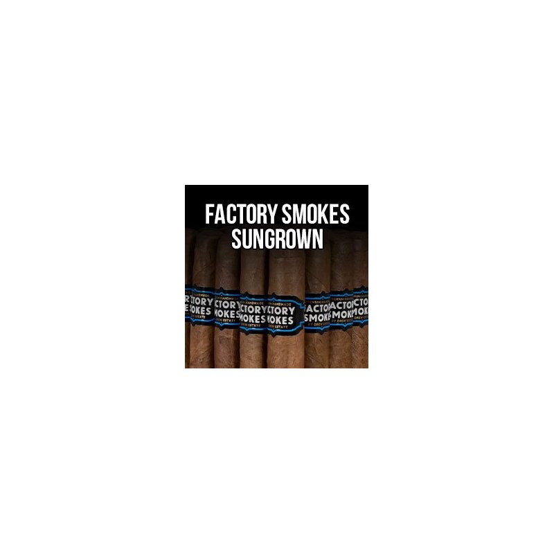Trabucuri Drew Estate Factory Smokes Sun Grown Gordito (75)