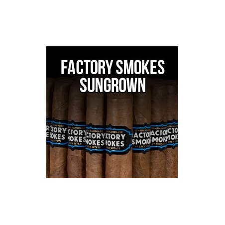Trabucuri Drew Estate Factory Smokes Sun Grown Gordito (75)