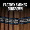 Trabucuri Drew Estate Factory Smokes Sun Grown Gordito (75)