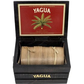 Trabucuri Yagua Toro (20)