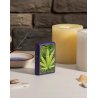 Bricheta Zippo Cannabis Design Logo 49790