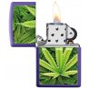 Bricheta Zippo Cannabis Design Logo 49790