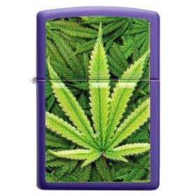 Bricheta Zippo Cannabis Design Logo 49790