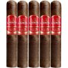 Trabucuri La Aurora 107 Ecuador Robusto (5)