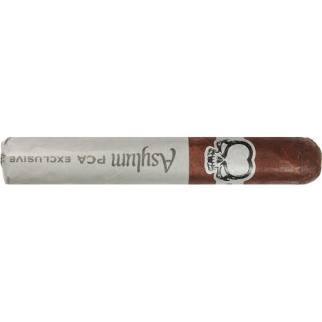Trabucuri Asylum PCA Exclusive 2023 Editie Limitata Robusto (20)