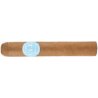 Trabucuri CLE PCA Exclusive 2023 Editie Limitata Robusto (20)