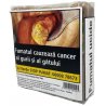Trabucuri Essenze Cigars Titan Habano Short Titan BUNDLE (10)